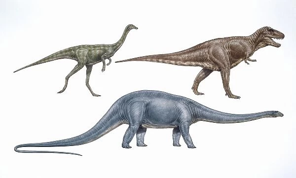 Gallimimus, Tyrannosaurus & Diplodocus