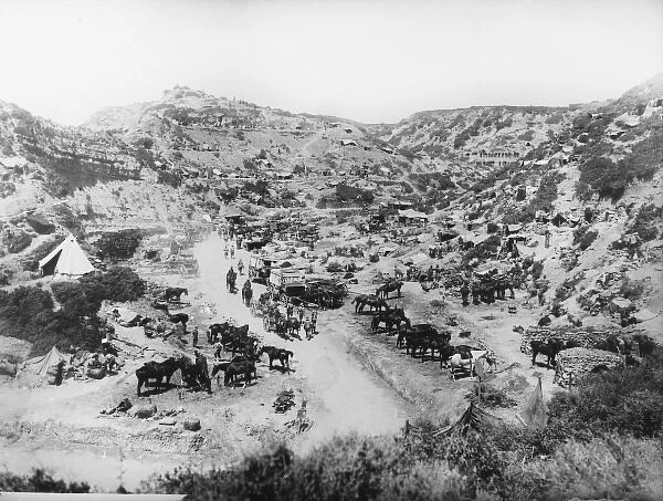 Gallipoli WWI
