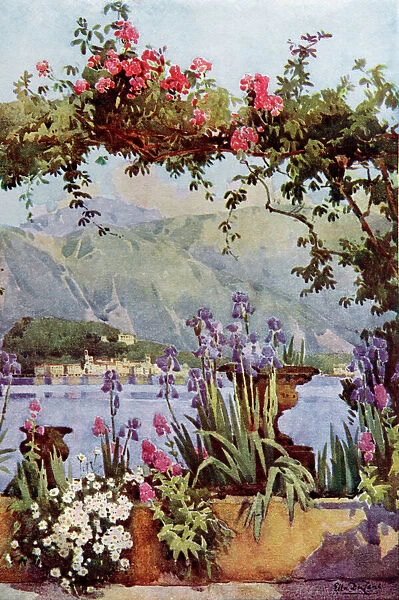 Garden at Cadenabbia, Lake Como, Lombardy, Italy