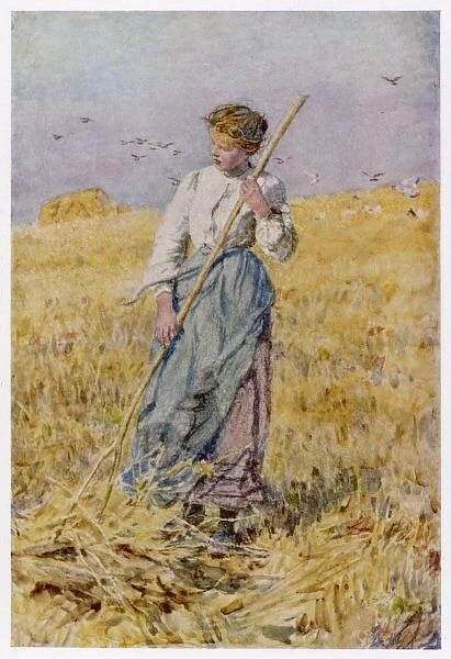 Gleaning Oats, France