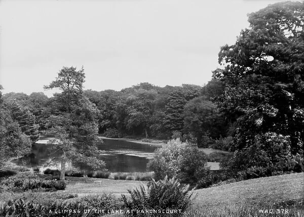 A Glimpse of the Lake at Baronscourt