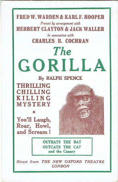 The Gorilla by Ralph Spence