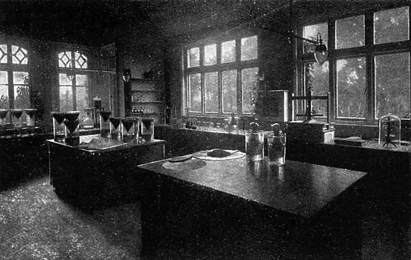 Horse serum laboratory at Elstree, 1915