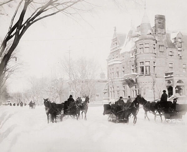 Horse and sledges in the snow, Montreal, Canada
