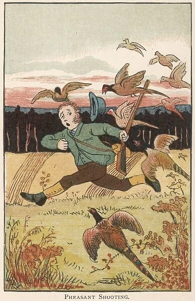 Hunter attacked by pheasants