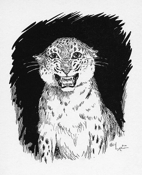 Illustration by Cecil Aldin, The Jaguar