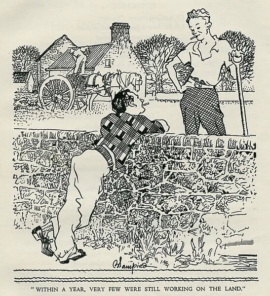 Illustration, Jersey in Jail, farming