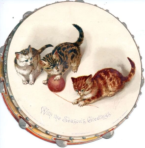 Three kittens on a cutout Christmas card