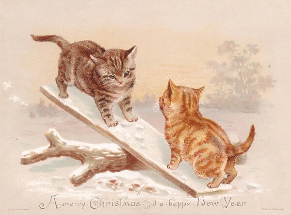 Two kittens seesawing on a Christmas card