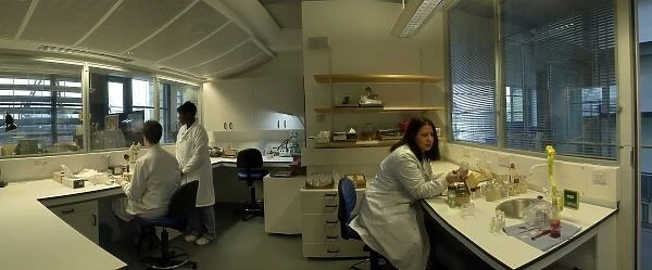 Laboratory in the Darwin Centre