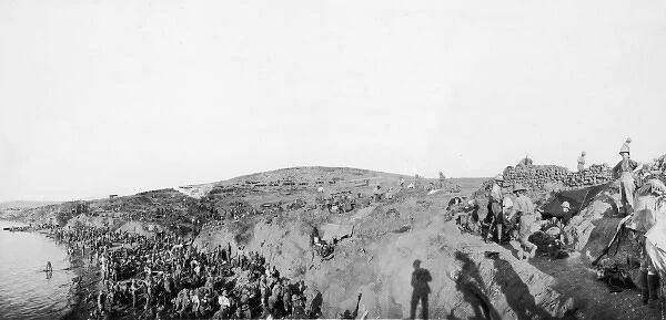 Lala Baba at Gallipoli WWI