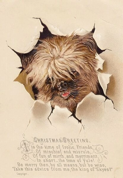 Little dog breaking through paper on a Christmas card