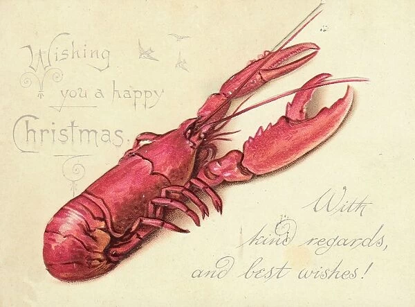 Lobster on a Christmas card