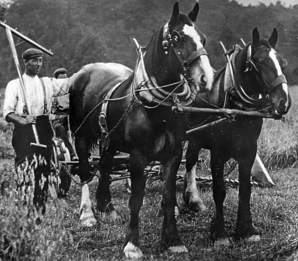 Men and horses ploughing in a field, South Wales