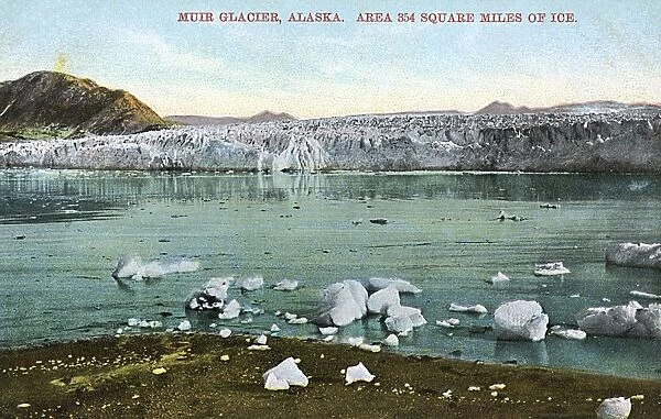 Muir Glacier, Alaska, USA