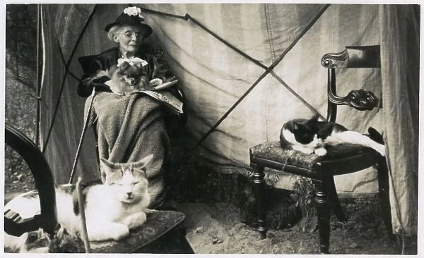 Old lady with two dogs and two cats