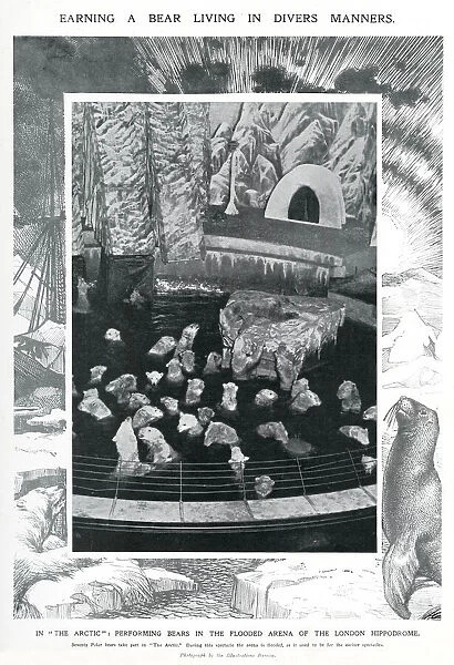 Polars bears at the London Hippodrome, January 1910