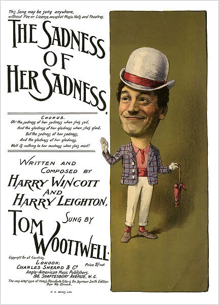 The Sadness of her Sadness sung by Tom Woottwell