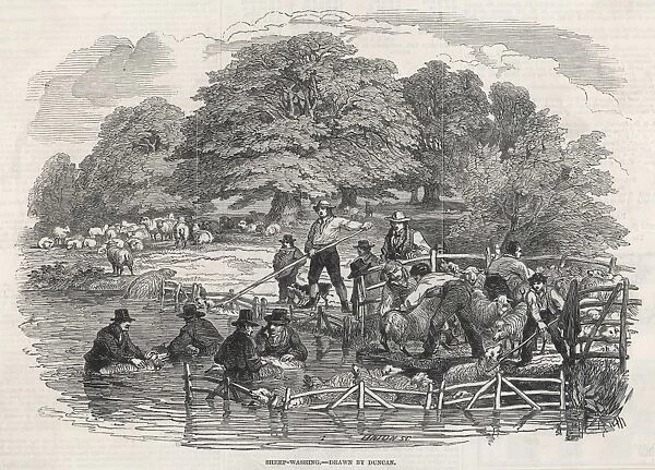 Sheep-Washing 1846