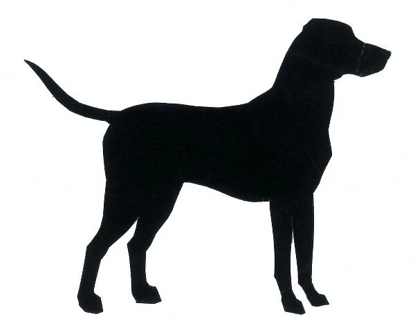 Silhouette of a large dog standing still