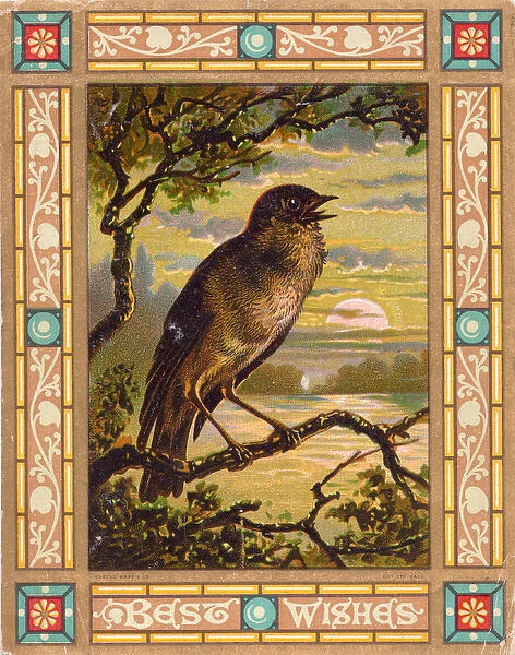 Singing bird on a greetings card
