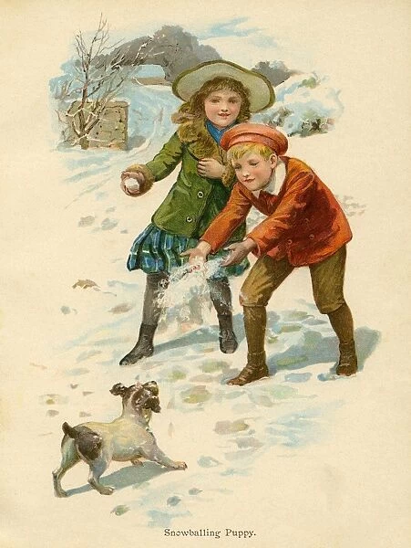 Snowballing Puppy (1899)