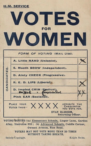Suffragette Votes for Women Voting Form