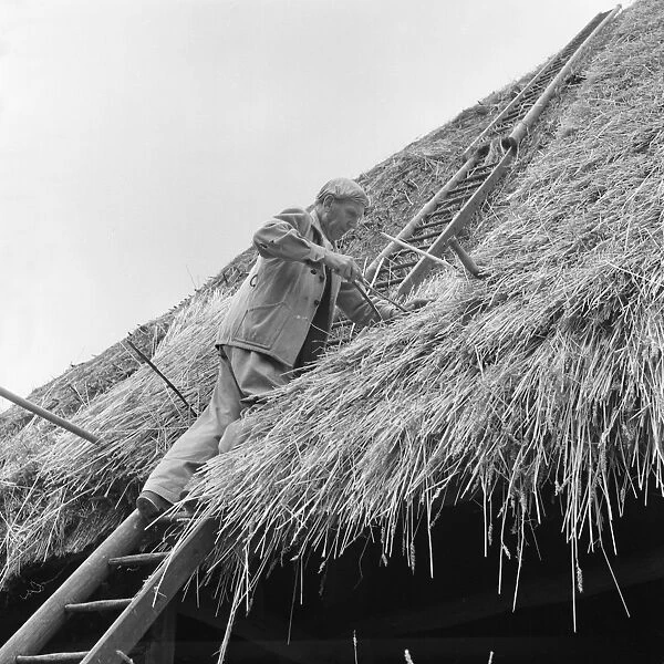 Thatcher, Sidney Chun - thatching a roof at Marlborough