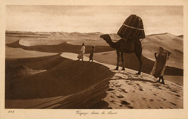 Travelling across the Sahara, Egypt - Camel