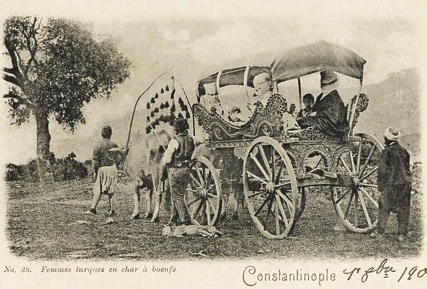 Turkish Woman in their wagon
