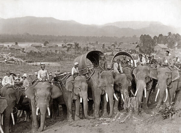 Working elephants, probably Burma, circa 1890