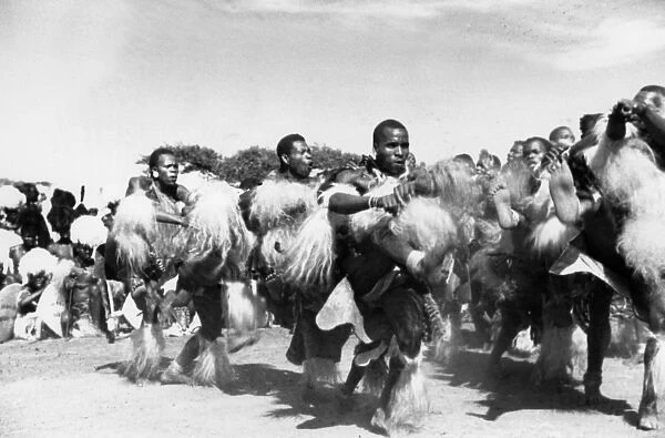Zulu Dancers  /  Tresses