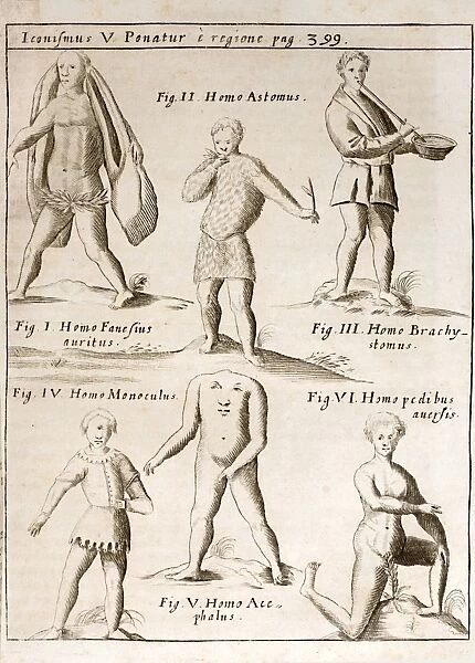 1662 Schott deformities real and imagined