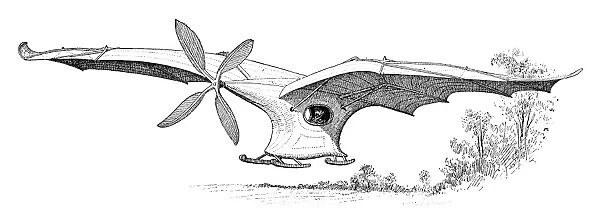 Aders flying machine, 19th century