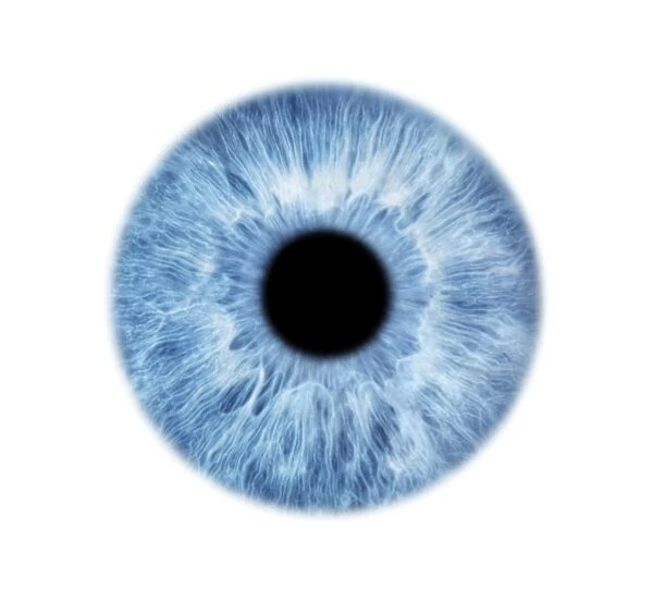Blue eye. Enhanced close-up of the iris and pupil of an eye