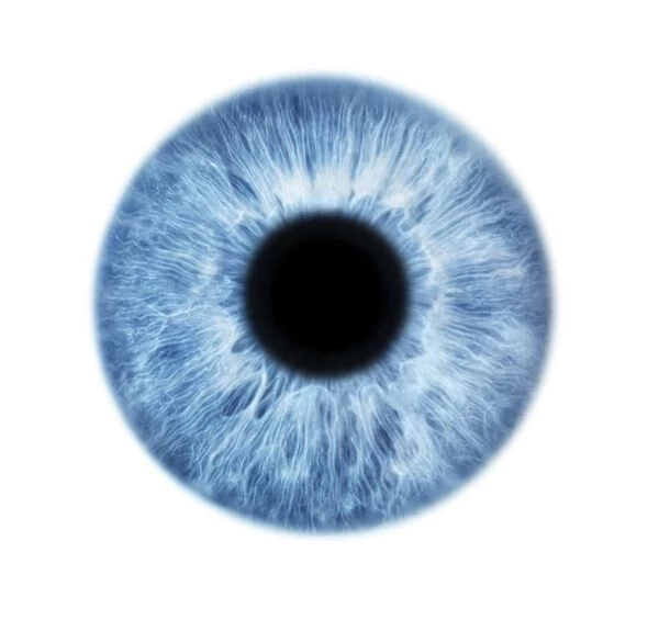 Blue eye. Close-up of the iris and pupil of an eye