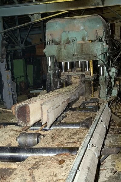Boards being cut at a sawmill