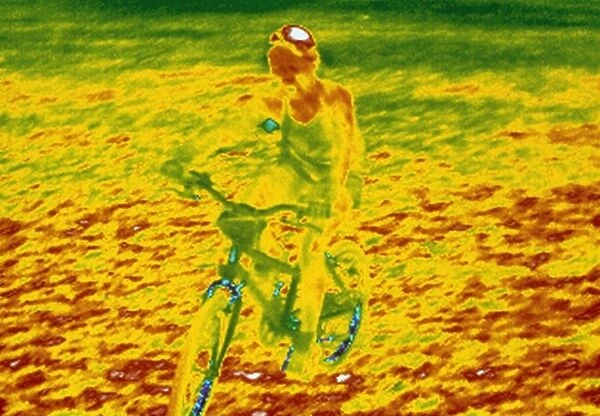 Child on bike, thermogram