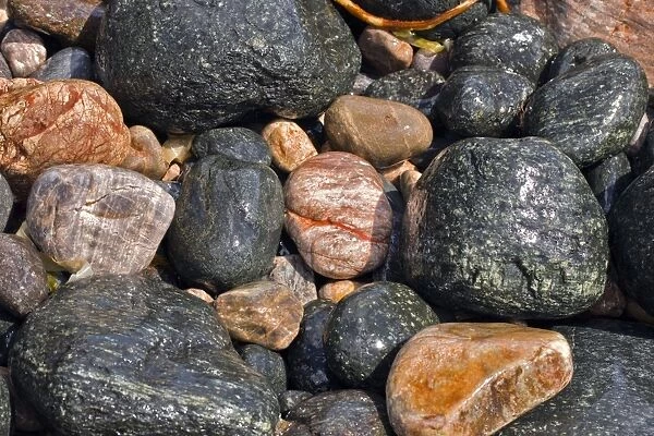 Coastal rocks and pebbles C017  /  8325