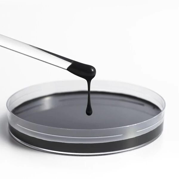 Crude oil dripping from a glass rod into a petri dish