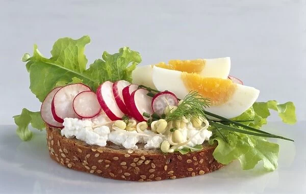 Egg and cottage cheese salad on bread C014  /  1507