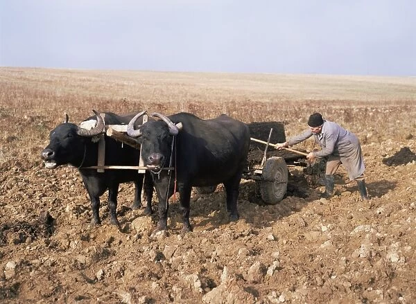Farmer fertilising a field