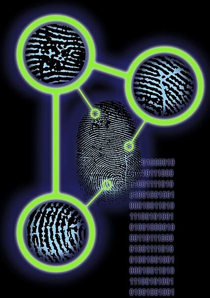 Fingerprint identification