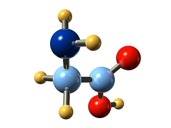 Glycine, molecular model