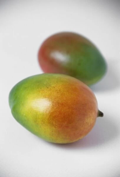 Mangoes (Mangifera sp.). This fruit is native to India