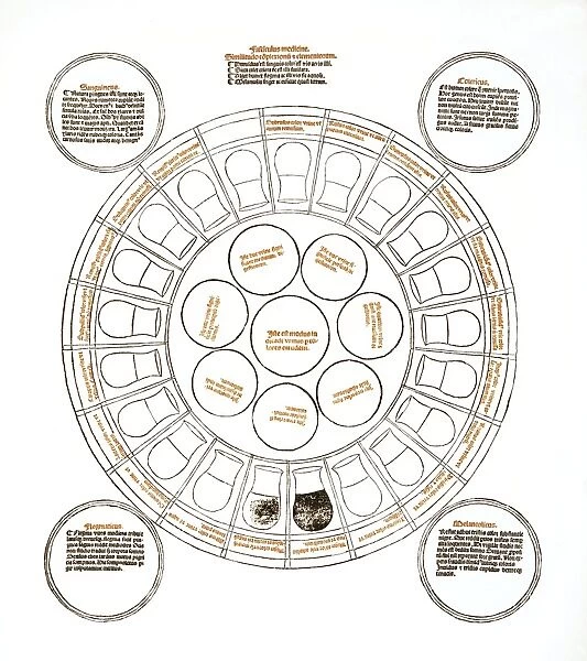 Medieval urine wheel and the four humours