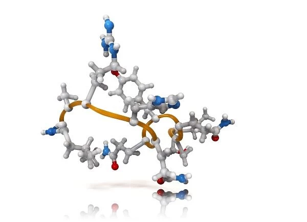 Obestatin molecule C014  /  4909