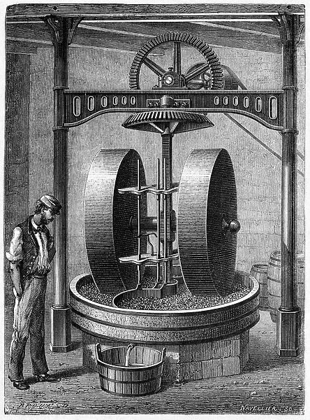 Oil seed grinding, 19th century