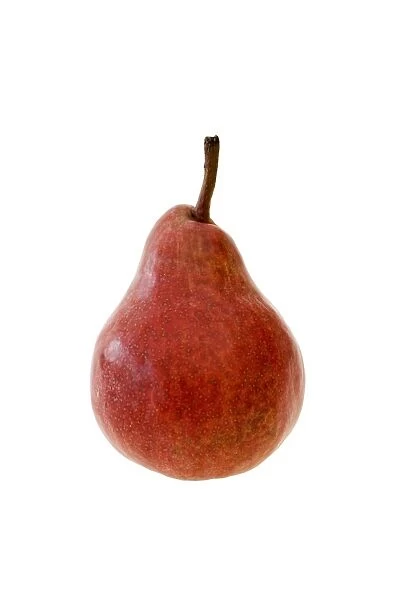 Pear Red Williams