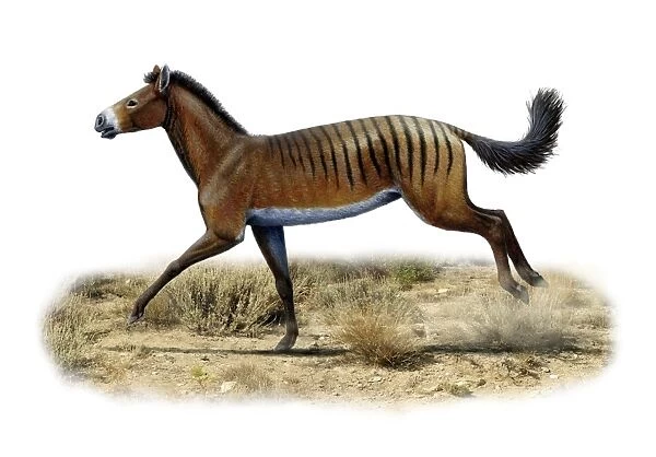 Prehistoric horse, artwork
